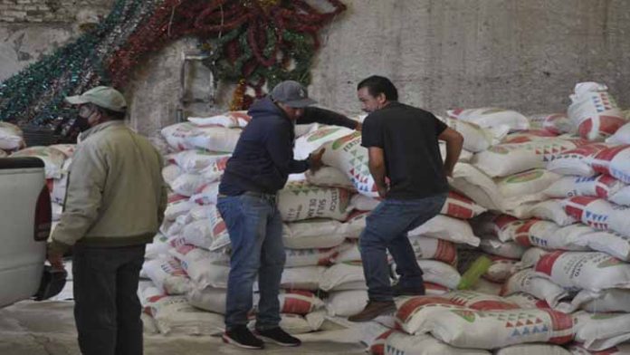 En Charo, fertilizantes se subsidian en un 50% gracias a programas del Ayuntamiento