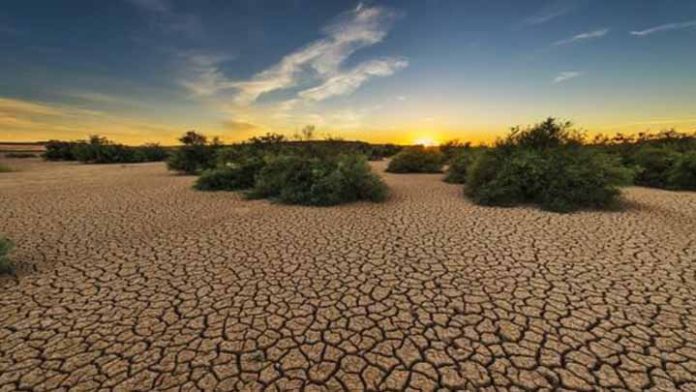 Algunas consecuencias del calentamiento global ya son irreversibles: ONU