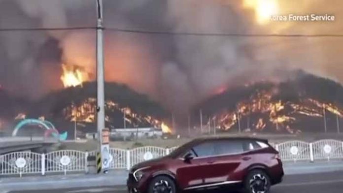 Incendio forestal provoca el desalojo de cientos de personas
