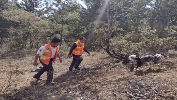 Intensifican búsqueda en el Cerro de Tzirate por seminarista desaparecido