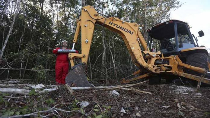 Ambientalistas se atan a máquinas para impedir obras del Tren Maya