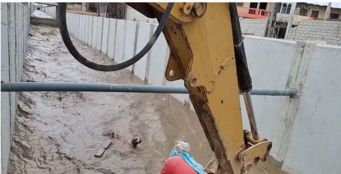 Rescatan a perrito que estuvo a punto de ahogarse