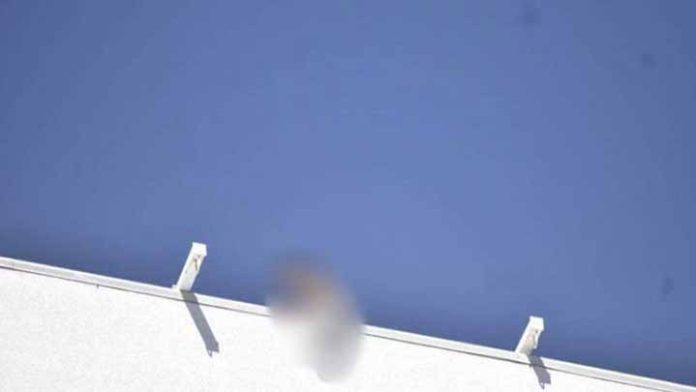 Hombre intenta lanzarse del techo de un hospital; logran detenerlo