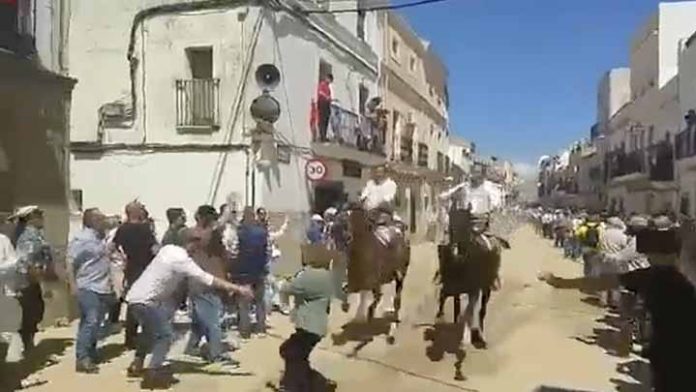 Abuelita y su nieta fueron embestidas por un caballo