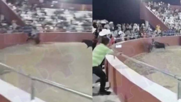 Muere otro joven al ser embestido por un toro