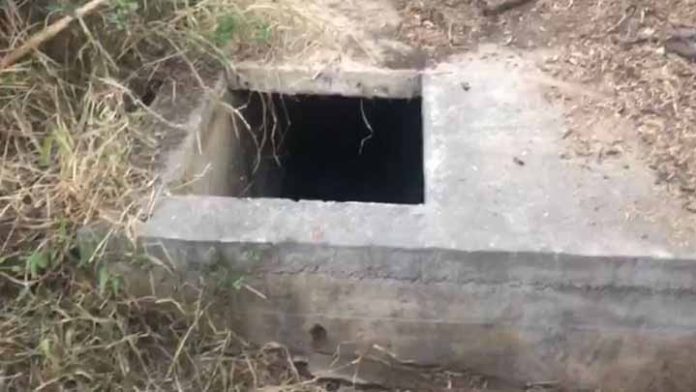 Continúa búsqueda de Debanhi Escobar; catean terreno baldío