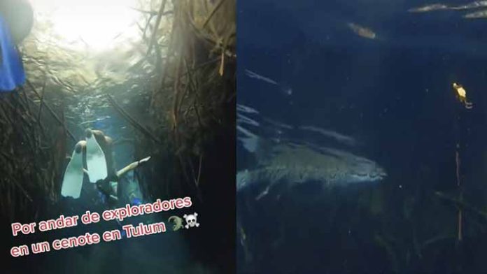 Turistas se encuentran con un cocodrilo al nadar en cenote