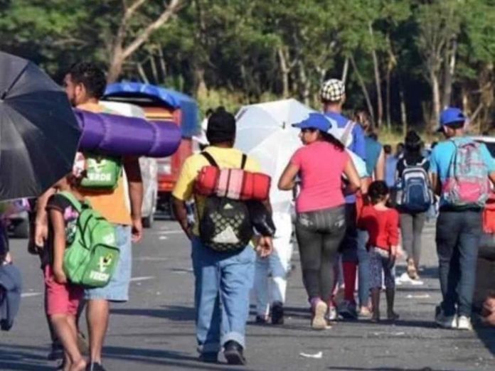 Se detectaron más de 40 municipios