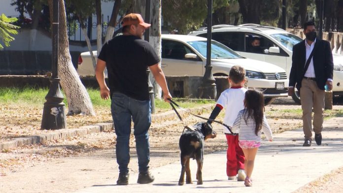 “Las ciudades deben responder a todos los sectores; Morelia no está hecha para niños”: Psicóloga infantil