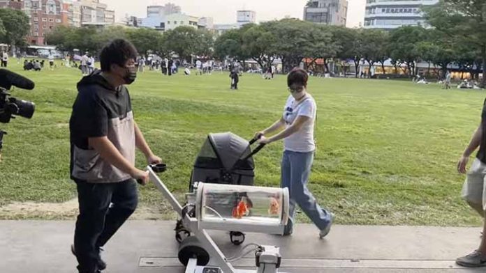 Youtuber sale a pasear con sus peces al parque