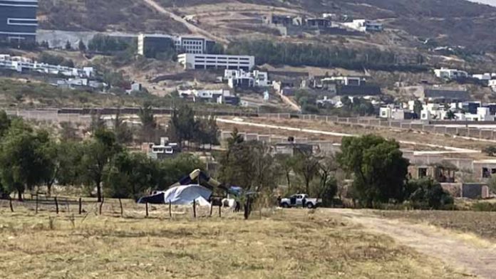 Ciudadanos temen por la realización de más Palenques clandestinos