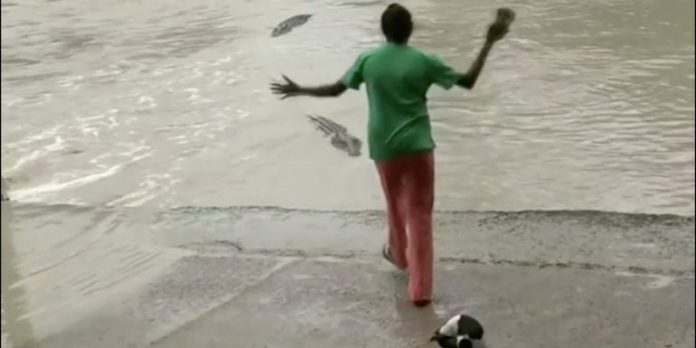 Mujer espanta a cocodrilo con una chancla