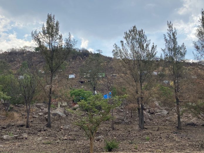 Pese a riesgo de deslave, cada vez más paracaidistas en el cerro de Quinceo