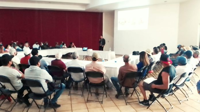 Capacitan a productores de aguacate sobre el uso adecuado de plaguicidas