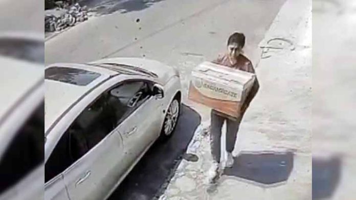 Abandona caja con varios perritos, solo uno sobrevivió