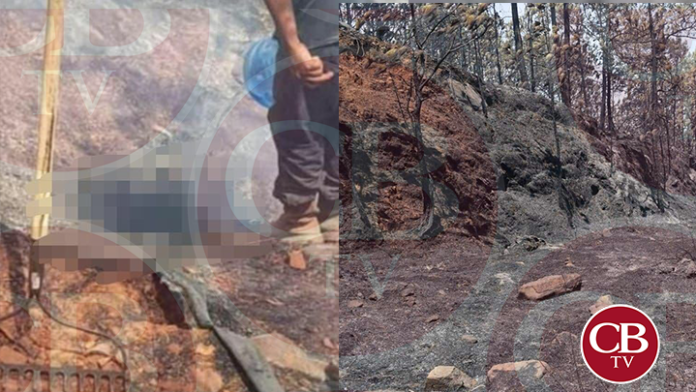 Brigadista voluntarios termina calcinado al combatir incendio forestal