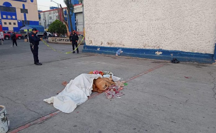 La foto de un perrito
