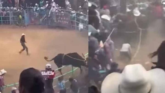 Toro quiso saludar a la audiencia y se brinca la valla en jaripeo de Zirahuén