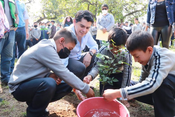 Inicia Reforestación Urbana Planeada en Zitácuaro