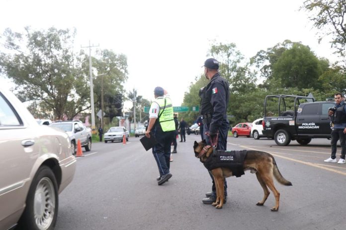 Se suma agrupamiento Canino de la Policía Michoacán a labores en Blindaje Zamora
