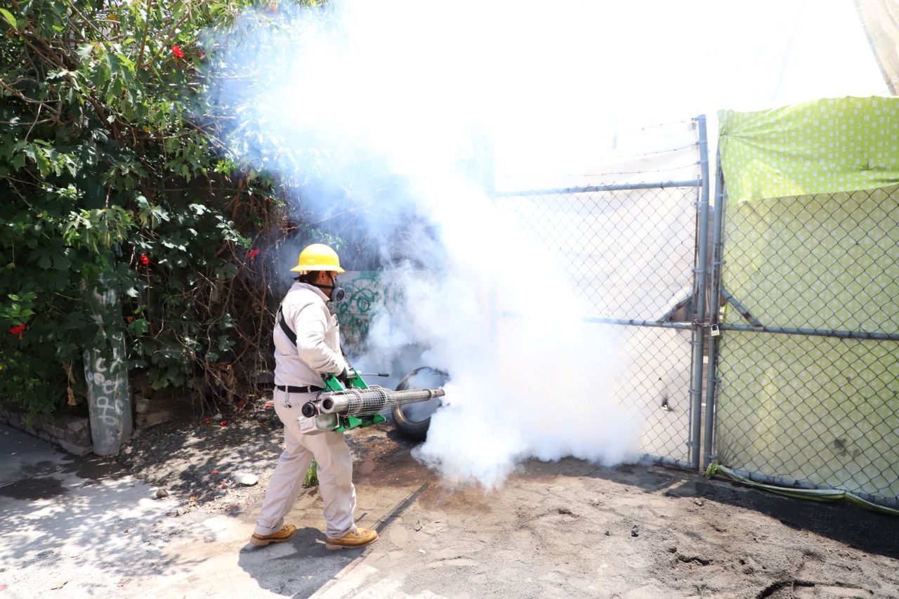 dengue 1