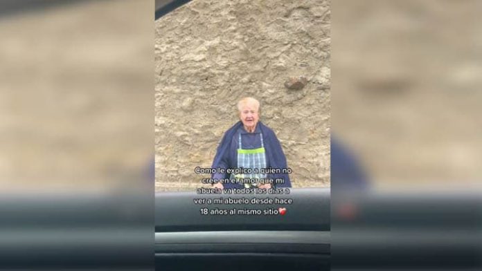 Abuelita le lleva flores diario a su esposo fallecido después de 18 años