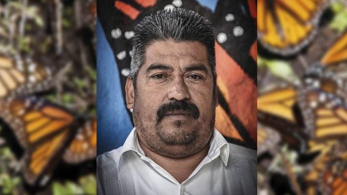 Netflix rendirá homenaje a Homero Gómez, el amigo de las Mariposas Monarca