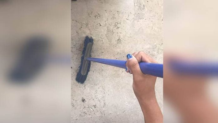 Empleada doméstica le roba 110 mil pesos a su patrón; ahora espera sentencia