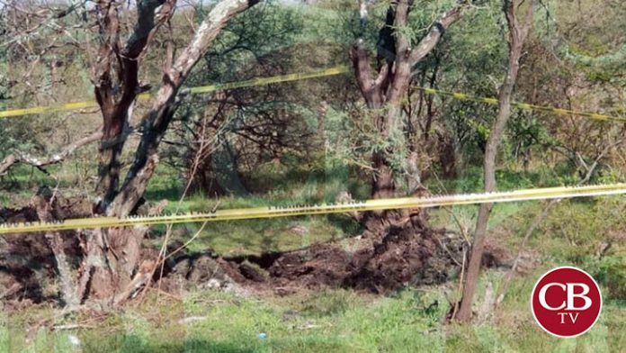 Siguen sin ser identificados los 10 cuerpos hallados en fosa de Villamar