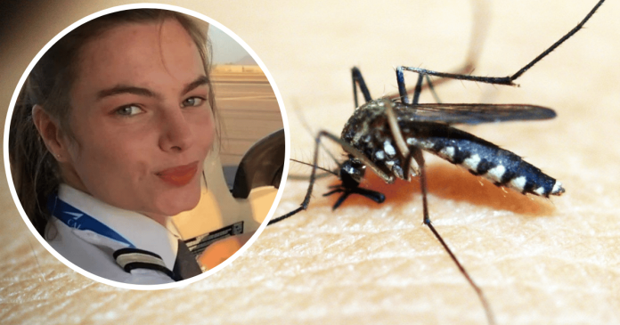 Piloto muere por picadura de mosquito