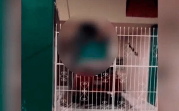 Ladrón queda atorado en reja