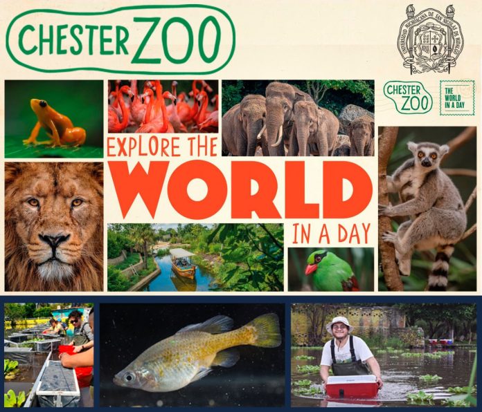 Zoológico de Inglaterra reconoce labor de investigadores nicolaitas
