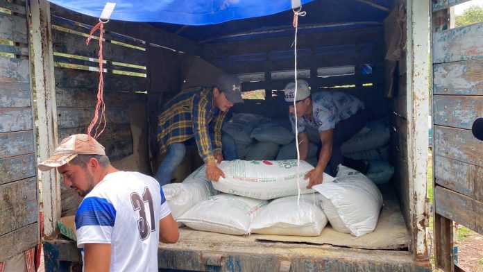 Programa de Fertilizante beneficia a más de 350 agricultores de Charo