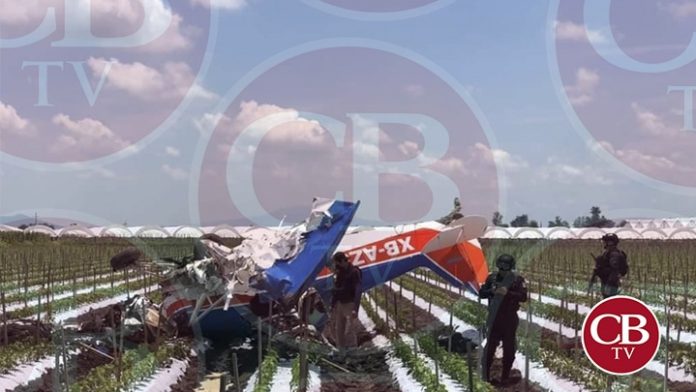 Piloto de 70 años estrella su avioneta y sobrevive en Michoacán