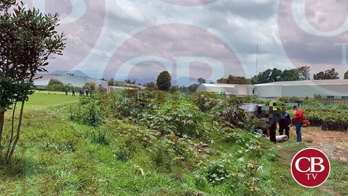 Ejecutan a un agricultor en un vivero de Uruapan