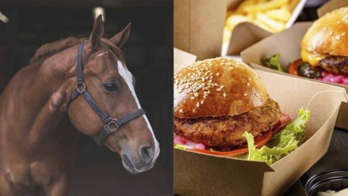 Sacrificaban caballos y vendían su carne para hamburguesas
