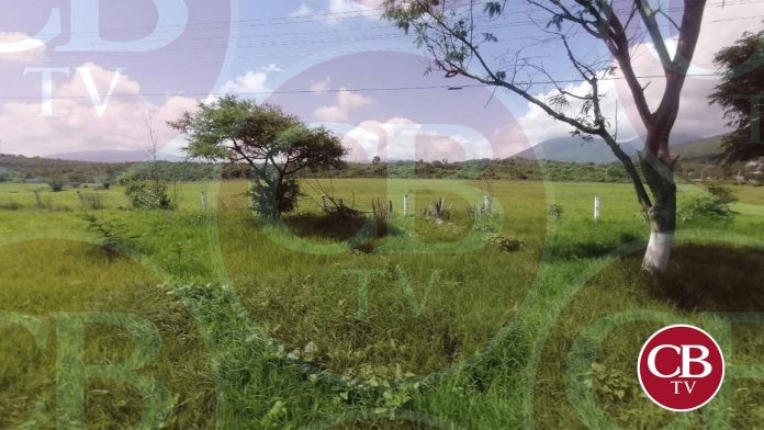 De cada 10 jornaleros en Jacona, solo 2 no consumen drogas