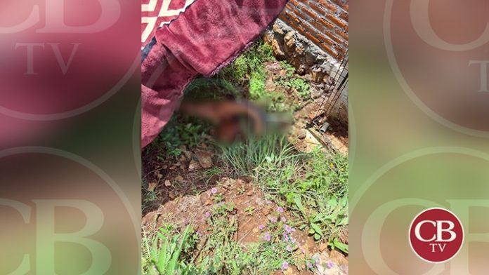 Matan a taxista a golpes en su propia casa