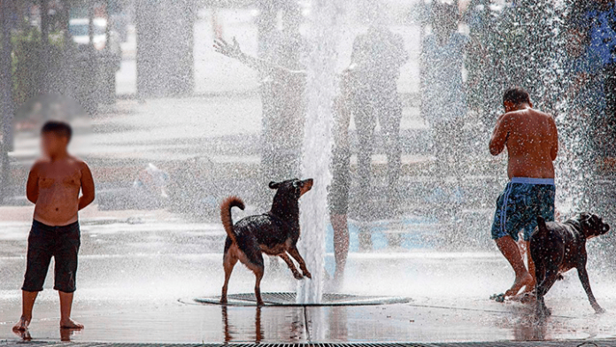 Europa se quema: Más de mil muertos por intensa ola de calor
