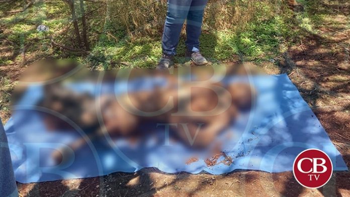 Sube a 22 muertos localizados en fosas de Villamar