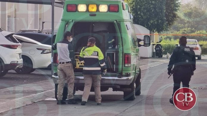 Profesionista entre las víctimas sangrientas halladas en Zamora