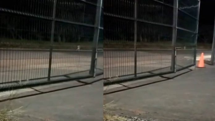 niña tiktok