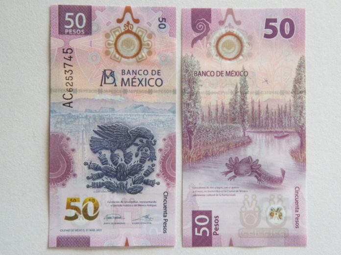 billete 50