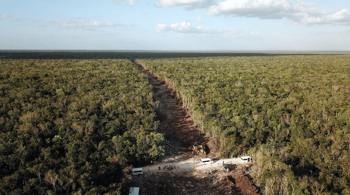 Juez revocó 3 suspensiones definitivas contra el tramo 5 del Tren Maya
