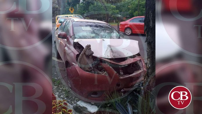 Destruye su auto con un árbol en la avenida Camelinas