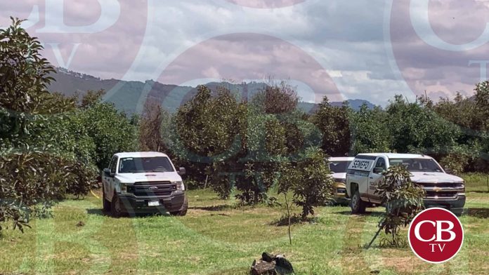 Casi medio centenar de cadáveres en fosas clandestinas en Michoacán