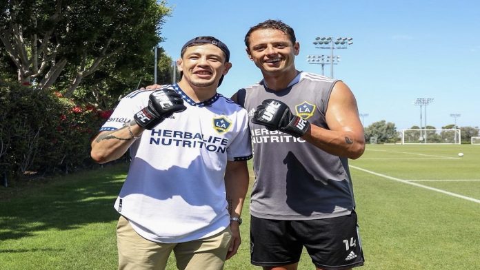 Brandon y chicharito