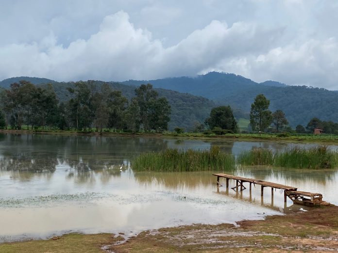 No te puedes echar un chapuzón pero sí disfrutar de la Laguna de San José de las Torres