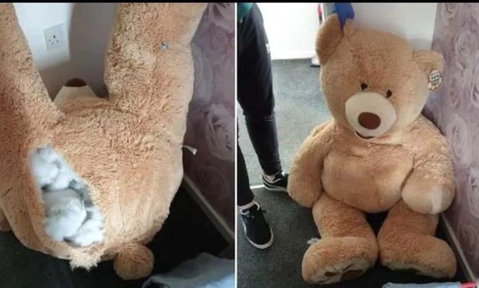 Ladrón se esconde dentro de un oso de peluche para no ser descubierto