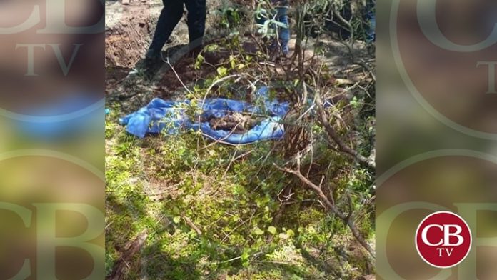 Sube a 12 muertos encontrados en fosas de Uruapan